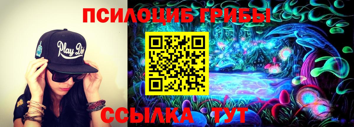 Галлюциногенные грибы мицелий Добрянка