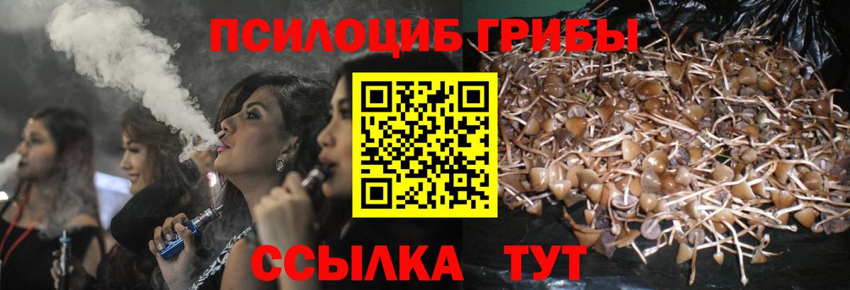 Галлюциногенные грибы прущие грибы  Галлюциногенные грибы ЛСД  Вход с VPN  Добрянка 